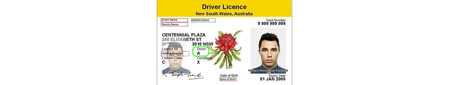 New South Wales driver’s license