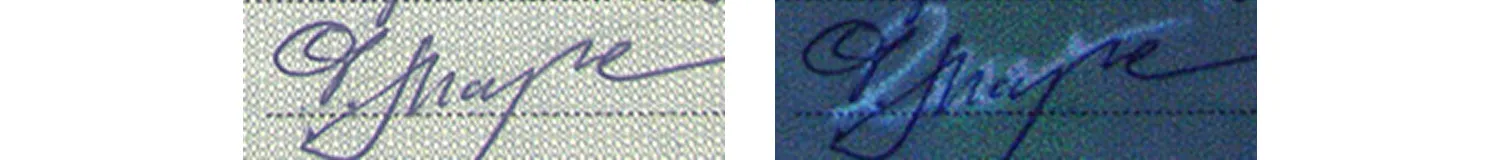 detection of the removed lines under UV light