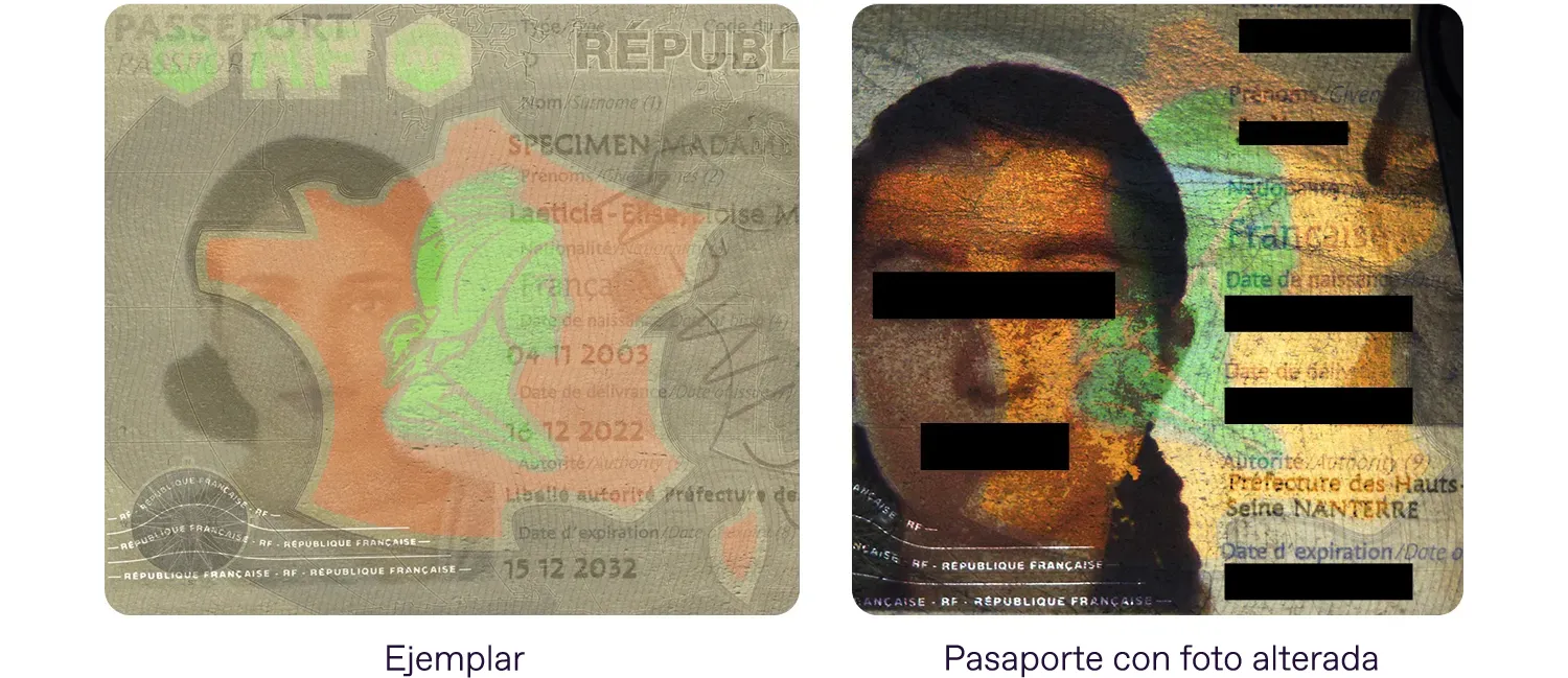 Comparación de pasaportes genuinos y falsos