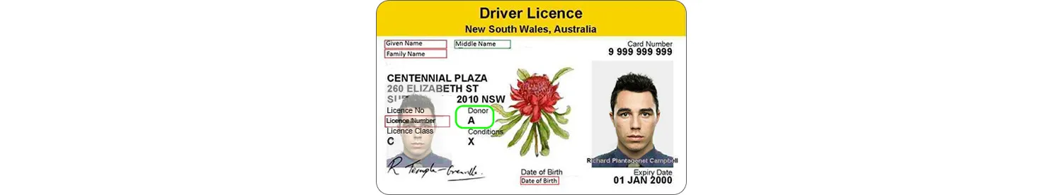 New South Wales driver’s license