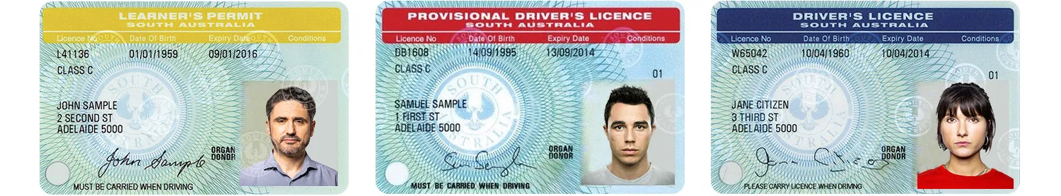 Australian driver licenses from South Australia