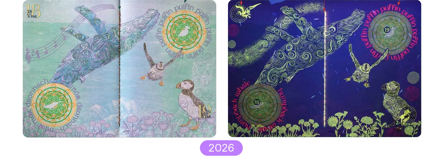 18-19 visa pages in Irish passport in 2026 series