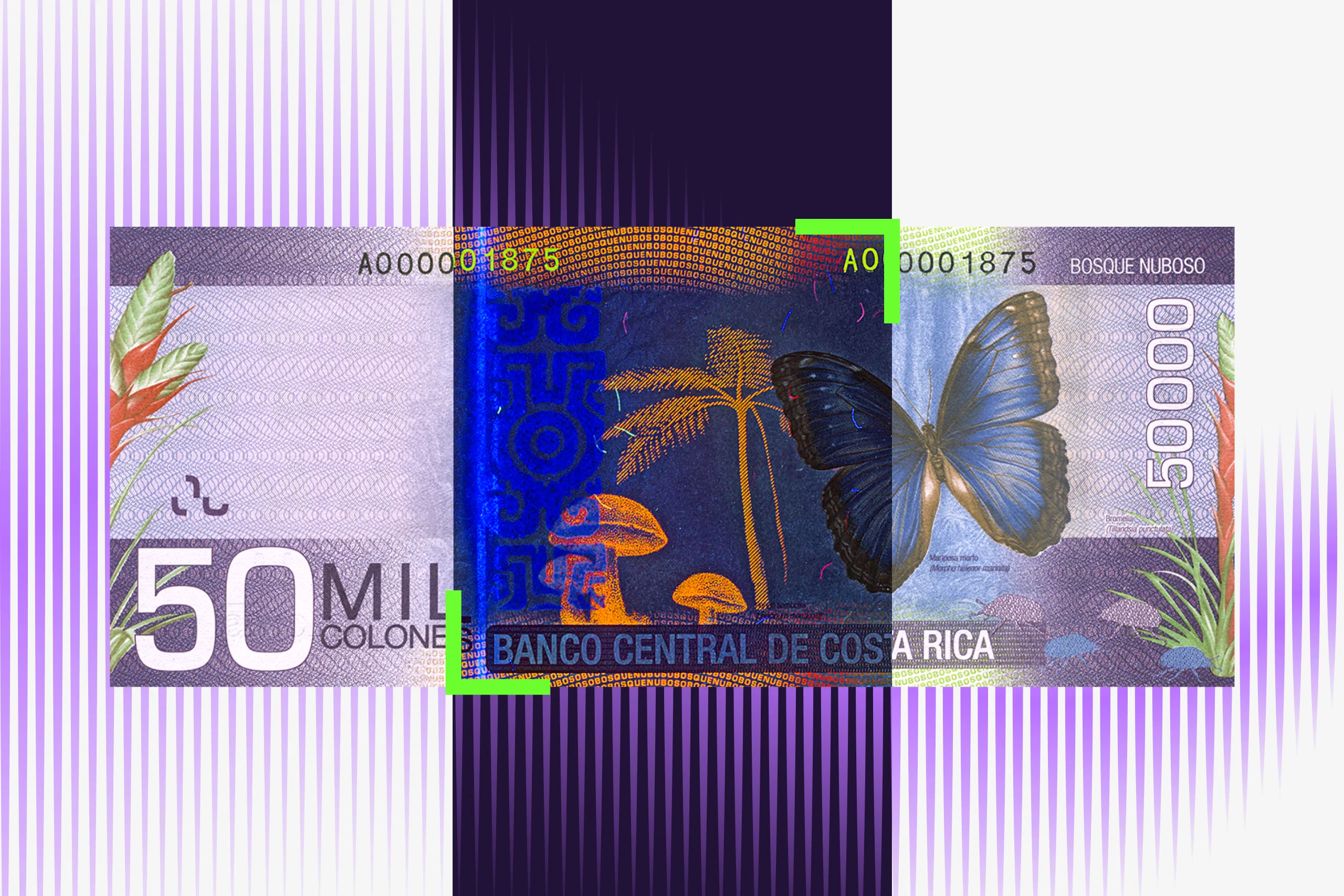 Most Beautiful UV Banknote Patterns | Regula Picks