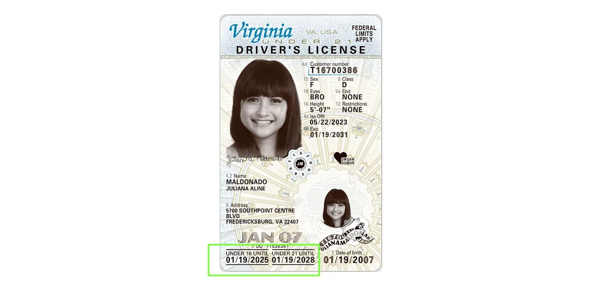 Massachusetts Fake Driver License And Fake ID CARD