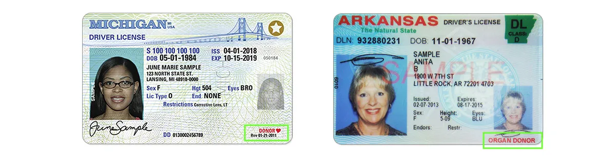 ID Card Printers, Access Badges, Driver's Licences, and More