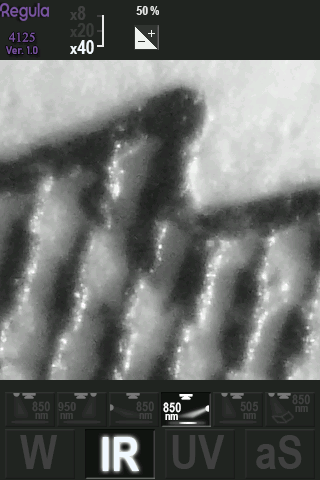 Infrared oblique 850 nm, 40x