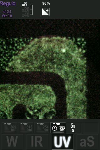 Ultraviolet 365 nm for visualization of phosphorescent inks, 8x