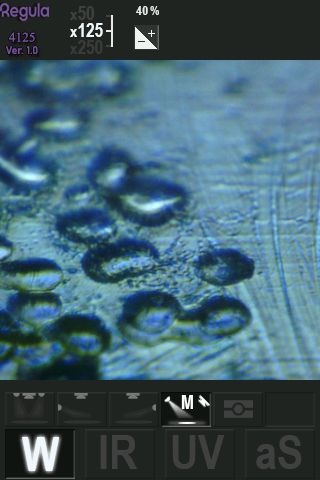 White for detection of morphed photographs, 125x