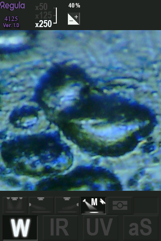 White for detection of morphed photographs, 250x